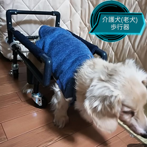 チワワ4輪リハビリ食事補助犬用車椅子介護用犬の歩行器 チワワ