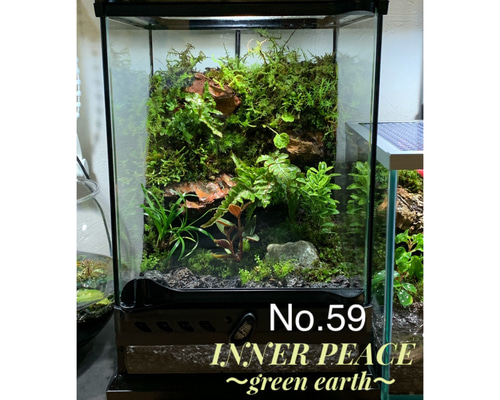 6bdc6ef47517a1489d5ecfb6d408c6