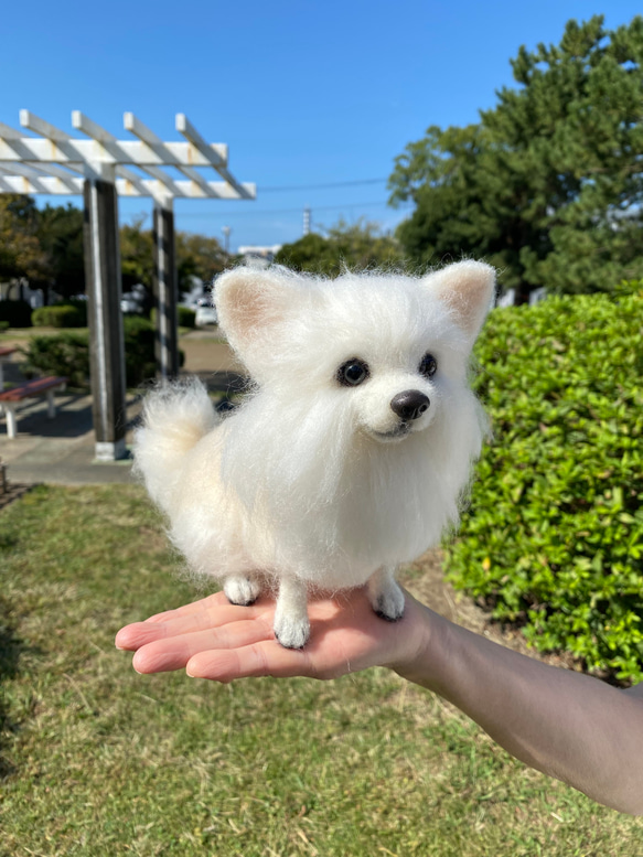 愛犬ちゃんのそっくりなリアルなペット人形をお作りします！　羊毛フェルト　犬　オーダー　ぬいぐるみ　愛犬　　ペット　リアル 4枚目の画像