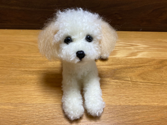 愛犬ちゃんのそっくりなリアルなペット人形をお作りします！　羊毛フェルト　犬　オーダー　ぬいぐるみ　愛犬　　ペット　リアル 5枚目の画像