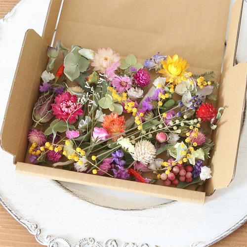 ドライフラワー 花材 詰め合わせ （ オリジナルE・原色系