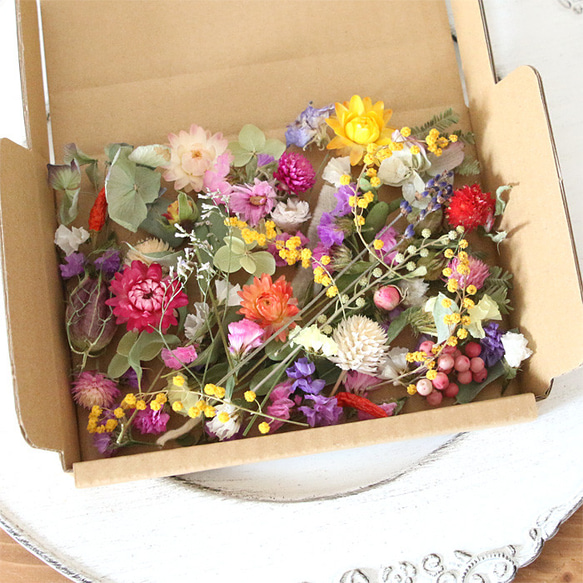 ドライフラワー花材詰め合わせ ドライフラワー 花材 詰め合わせ （ オリジナルE・原色系