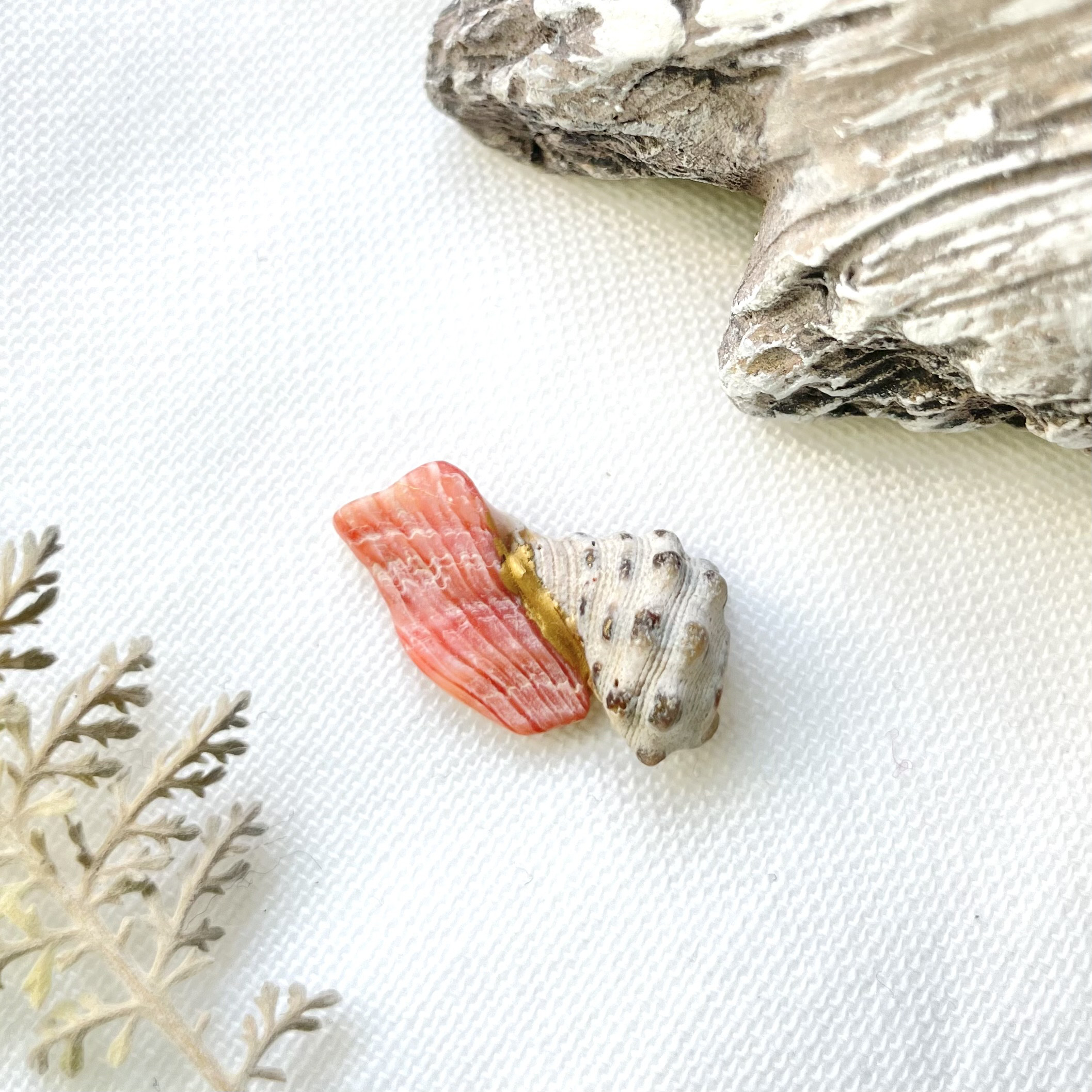 mar_Japon_kanaya_0006