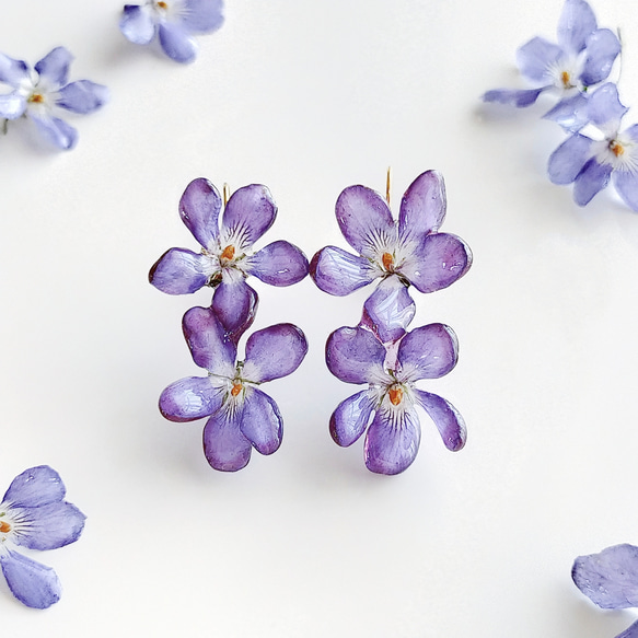 生花】【受注制作】本物のお花 スミレのドライフラワーのフックピアス