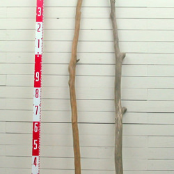 「送料無料」流木棒１ｍ以上の２本セット c500 DIY園芸インテリア店舗ディスプレイや撮影用に使える流木棒素材 2枚目の画像