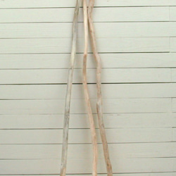 「送料無料」流木棒１ｍ以上の３本セット c515 DIY園芸インテリア店舗ディスプレイや撮影用に使える流木棒素材 3枚目の画像