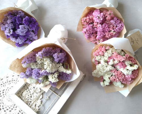 d440c1ac536b9017c713bbbcb7fd23