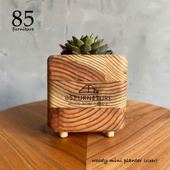 多肉植物・サボテン用　杉無垢材　ミニプランター　植木鉢　 1枚目の画像