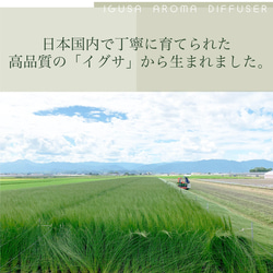 IGUNEMU イグサ線香3個セット 熊本県産 国産イグサパウダーを配合 [クリックポスト対応] 9枚目の画像