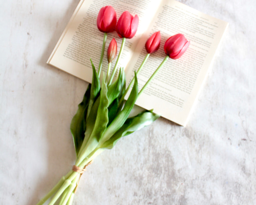 306388673bc7fc5262052ccc41bff0