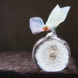 2wayしめ縄飾り 交換用リースセット Creema限定 お正月飾り S1 しめ縄