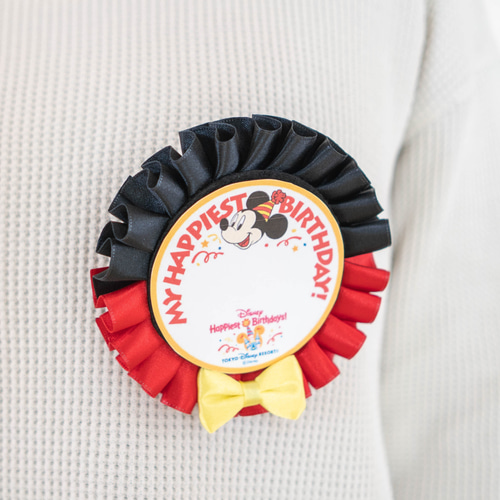 うきうき バースデーシール用　ロゼット バースデーシールロゼット（レインボー） ブローチ ロゼット