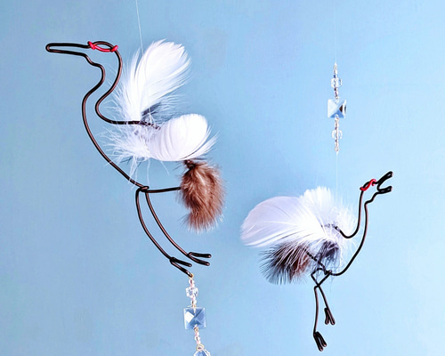 76b78588800e4f2ed9b1256cc212f5