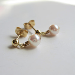 伊勢志摩産 あこや真珠 ベビーパール *** (14kgf)スタドピアス