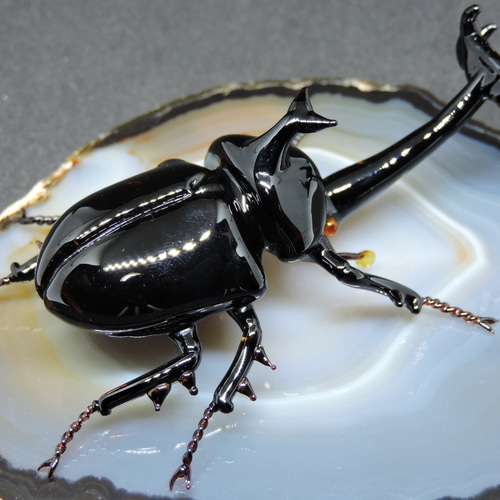 ガラスの昆虫・カブトムシ 立体・オブジェ 硝子細工屋 通販 ガラスの昆虫・カブトムシ 立体・オブジェ 硝子細工屋 通販
