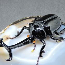 ガラスの昆虫・カブトムシ 立体・オブジェ 硝子細工屋 通販 15755273