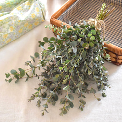 ユーカリ スワッグ のおすすめ人気通販 検索結果｜Creema(クリーマ