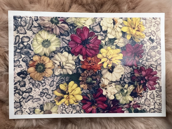 お花のポストカード　2枚セット 2枚目の画像
