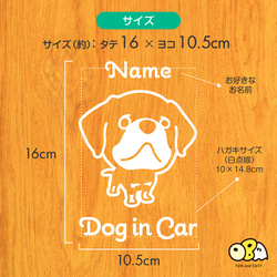 ロットワイラー お名前入りステッカー/DOG IN CAR カーステッカー ウォールステッカー 3枚目の画像