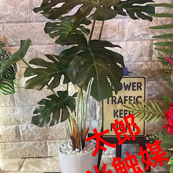 光触媒 人工観葉植物 ウォールグリーン フェイクグリーン モンステラ中