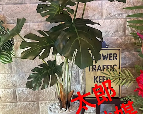 光触媒 人工観葉植物 ウォールグリーン フェイクグリーン モンステラ中