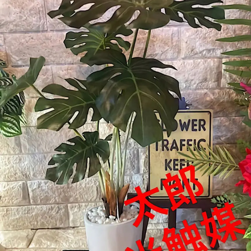 光触媒　人工観葉植物　ウォールグリーン　フェイクグリーン　モンステラ175 光触媒 人工観葉植物 ウォールグリーン フェイクグリーン モンステラ中