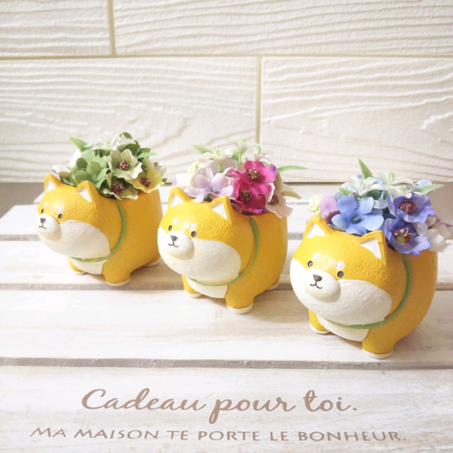 フラワーアレンジ インテリア 柴犬 アートフラワー Harry Chop 通販