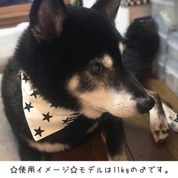 中型犬用バンダナ/星にボーダー⑥ n-0144シリーズ 4枚目の画像