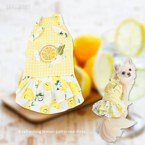 犬服⭐︎ハンドメイド♡リボンワンピース（チェック） ワンピース リボン ドッグウェア チェック 夏 春 トップス かわいい