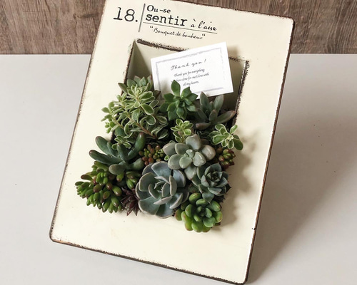 74650a4e36d6e2adad992f5f069f0f