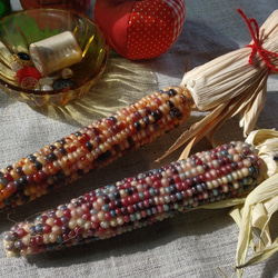 3008f10ead8bddd09406ba4421f093