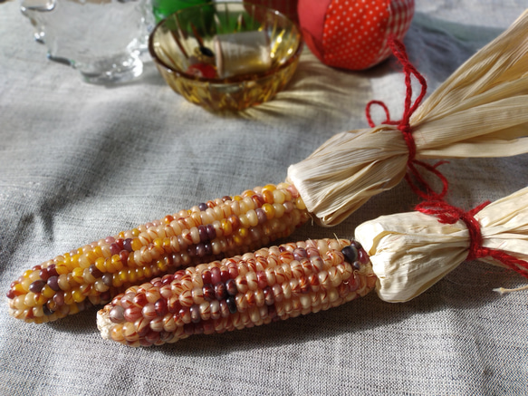 🌽グラスジェムコーンのスワッグ✨ひと粒ひと粒の色合いがとても