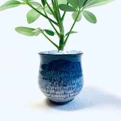 ハイドロカルチャー　カポック　小石原焼　飛びかんな　陶器　観葉植物　ピンク　ブルー 8枚目の画像