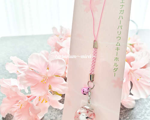 2ccdd2ddfa304fdac73bc303987d3c