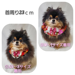 【オーダー】わんちゃん・猫ちゃんのつけ襟(スタイ) 可愛い  お花柄 フリル  水色花柄 4枚目の画像