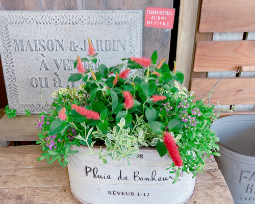 90e62ed9ae03b4999b8d1cc4ad6c9f