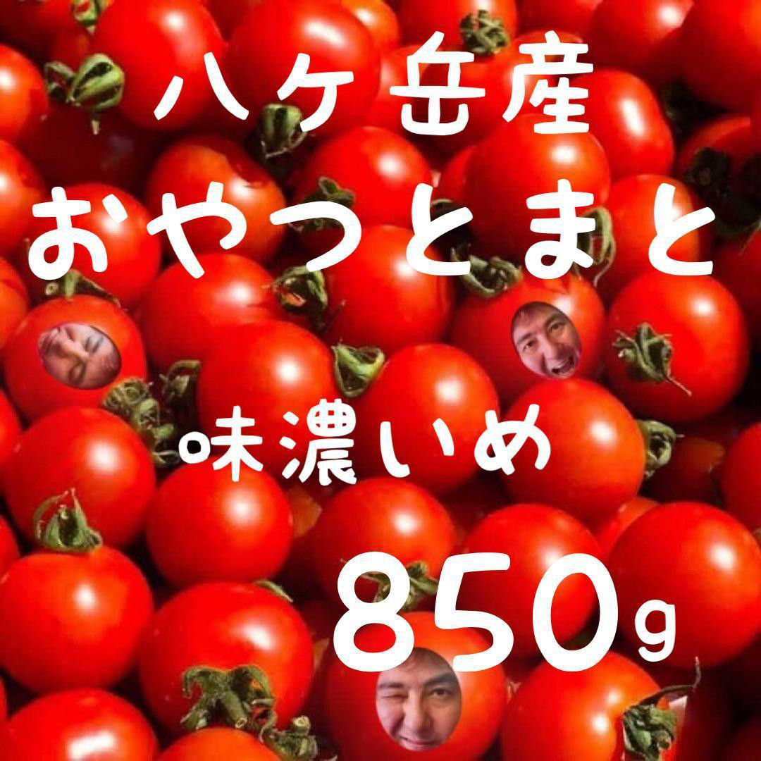 熊本産トマト20Kg （緊急スポット】”ミニトマト” かなり訳あり