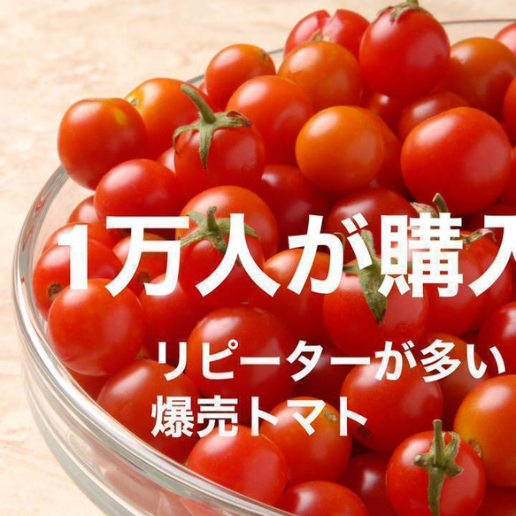 八ヶ岳産 ミニトマト約850g  味濃いめ！農薬は薄め！初めての方にオススメ！（郵便ポスト入れ） 2枚目の画像