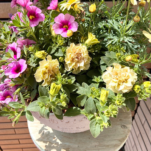 油絵　専用品　ペチュニアが咲く寄せ植え 油絵 専用品 ペチュニアが咲く寄せ植え （花壇 | 茨城│外構