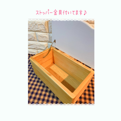 ♪アンとアンディ フリーbox♪ 棚・シェルフ・ラック memericcho工房