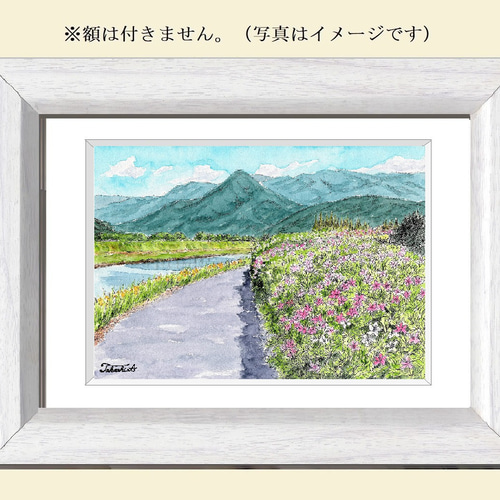 原画一点物 「ツツジの花が咲く春の遊歩道」 <ペンスケッチ+ 原画一点物 「ツツジの花が咲く春の遊歩道」 <ペンスケッチ+