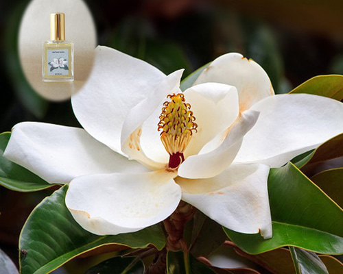 【残量たっぷり】山野香料本館　トミー　夜香木　香水 4c49124443a371c3997de58df6694e