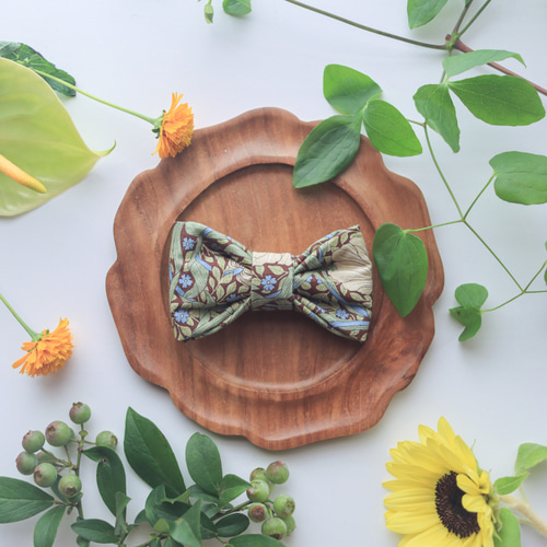 蝶ネクタイ 卒園式・入園式に可愛い写真のこしませんか？新柄追加！！2