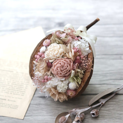 幸せを呼ぶ実  ブッダナッツ(小さめ)【ピンク×水色  ベイビーカラーアレンジ】 幸せを呼ぶ実 ブッダナッツ(小さめ)【ピンク×水色 ベイビー