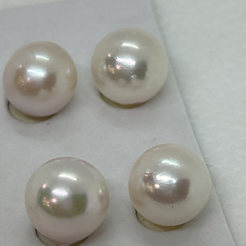 アコヤ真珠7mm珠 片穴 おまかせペア（2珠） パール taiyohoushoku 通販 