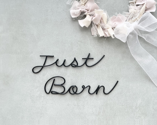 m.m　ワイヤーアート　JUST BORN days weeks 恐竜 ワイヤーアート #恐竜 #ティラノサウルス #ハンドメイド