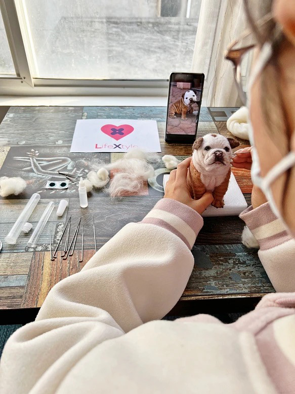 【オーダーメイドペット】羊毛フェルト、うちの子　犬ぬいぐるみ、フェルト犬、羊毛犬、肖像画、犬猫人形 プレゼントやギフトに 100% 模様