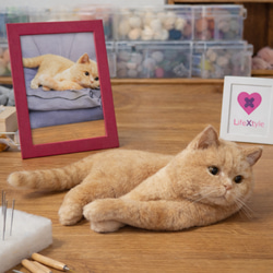 mia 受注商品 ノルウェージャンフォレストキャット 置物 猫 長毛種