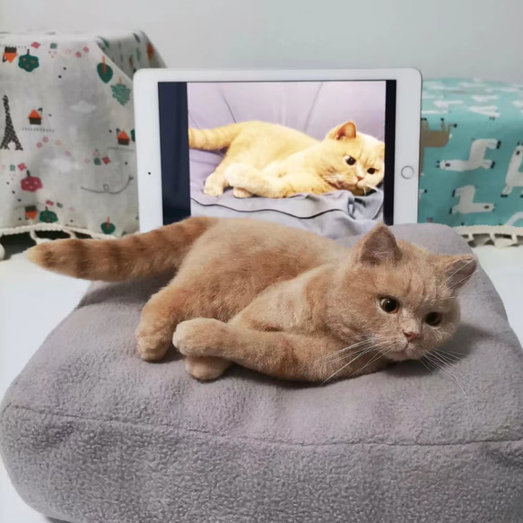 つきみ様オーダー品 羊毛フェルト 猫のぬいぐるみ つきみ様オーダー品 羊毛フェルト 猫のぬいぐるみ つきみ様