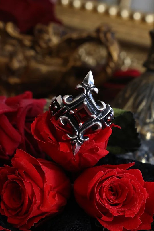 ルミナリア・コンパス